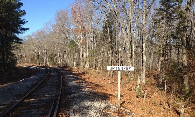 Czego nie można wrzucać do młynka?