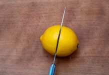Jak wyhodować cytrynę w domu?