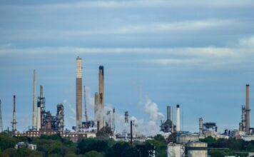 Bramy przemysłowe i rolowane od Efaflex